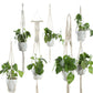 BohoNest – Macramé Cotton Plant Hanger