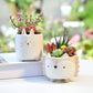 Play Gardening – Ceramic Animal Flower Pot