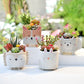 Play Gardening – Ceramic Animal Flower Pot