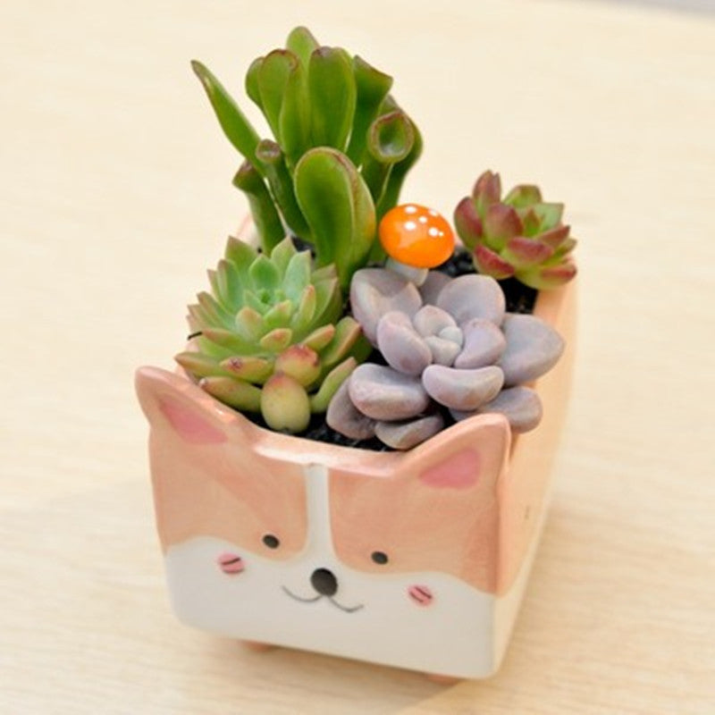 Play Gardening – Ceramic Animal Flower Pot