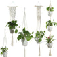 BohoNest – Macramé Cotton Plant Hanger