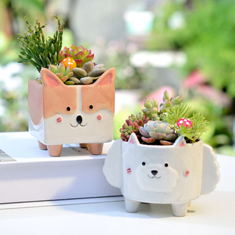 Play Gardening – Ceramic Animal Flower Pot