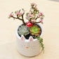 Play Gardening – Ceramic Animal Flower Pot