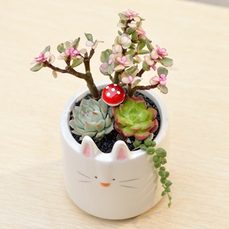 Play Gardening – Ceramic Animal Flower Pot